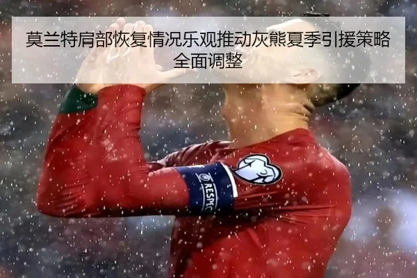 莫兰特肩部恢复情况乐观推动灰熊夏季引援策略全面调整